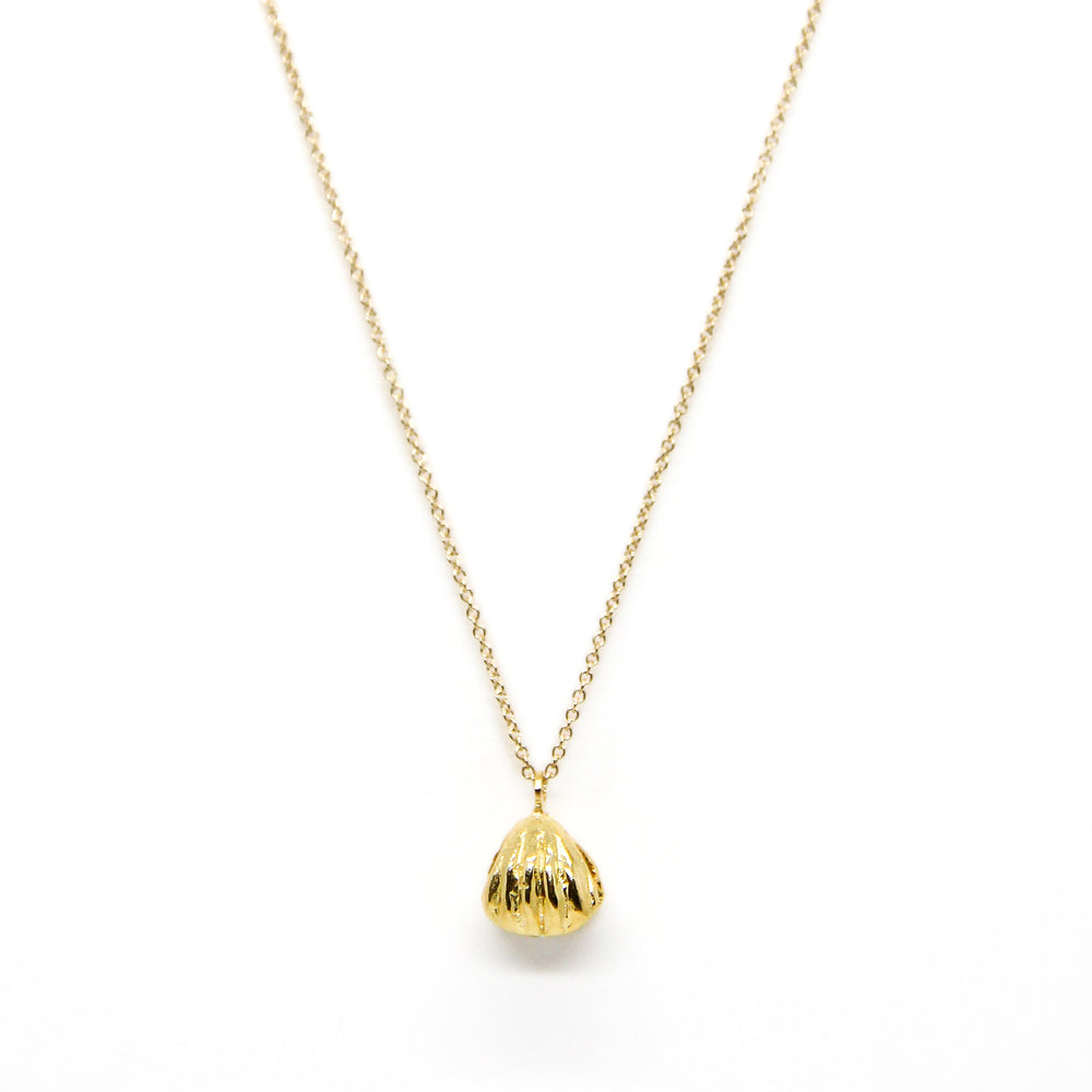 Single Necklace Clam with White Pearl – Mina De Mar