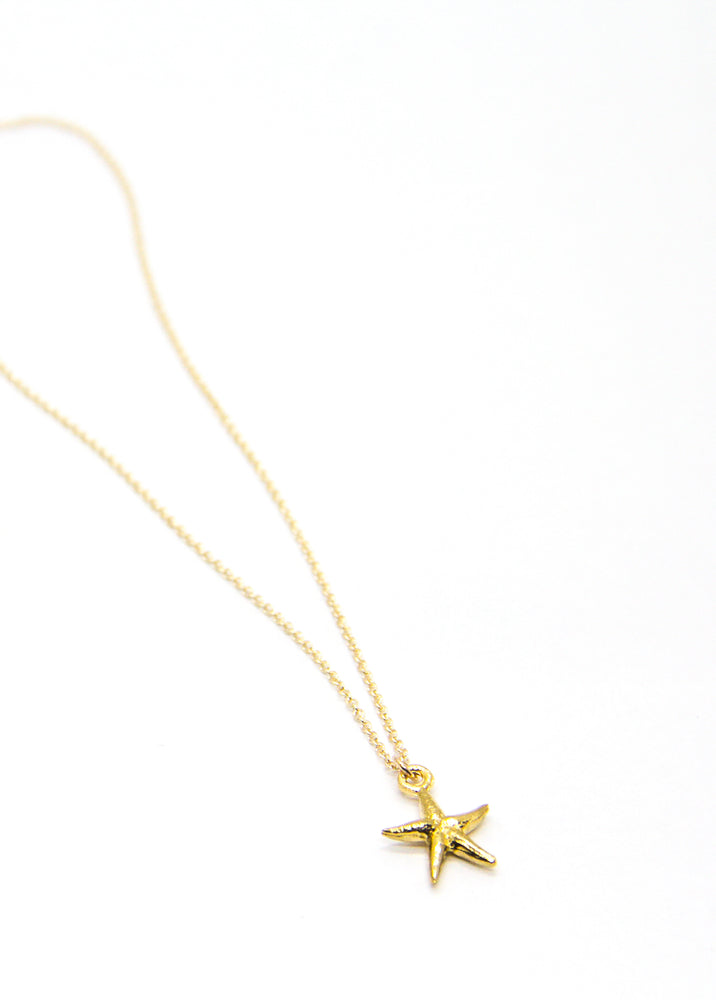 
                  
                    Starfish Gold
                  
                